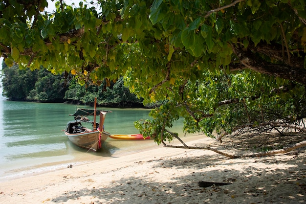 Local boat tour stop wait bring thai people travelers visit ao toa ba beach and stop unseen trip travel stone sea heart in ocean of mu ko petra national park in pak bara at la ngu in satun thailand