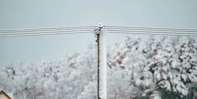 雪と氷に覆われた地域の電柱 農村地域における冬の吹雪時の電気と停電の問題の概念