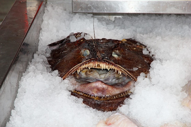 The local fish market Bergen Norway