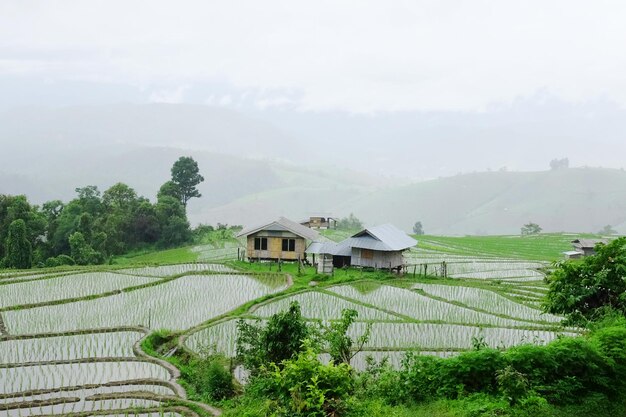 Местная хижина и деревня на террасовых рисовых полях на горе в сельской местности Таиланда