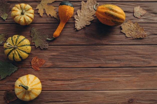 Local produce pumpkins, autumn dry oak and maple leaves for decoration on wood textured table.