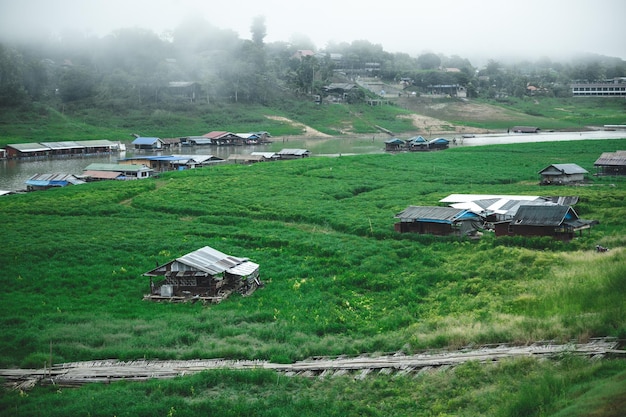 Local site of Thailand, green nature field landscape