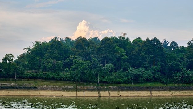 Location area in power plant water reservoir