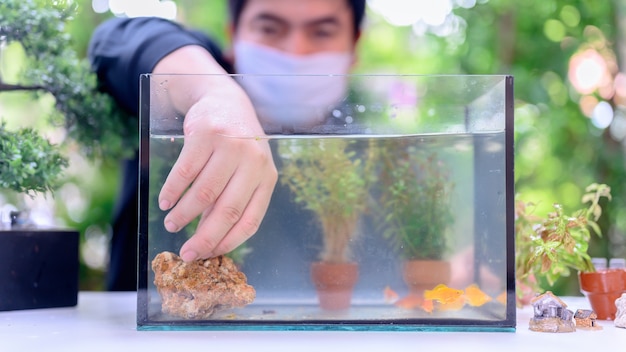 Blocco e auto-quarantena con nuove decorazioni per pesci e acquari. ricreazione al giardino verde durante la crisi del virus corona. resta a casa per il relax e il distanziamento sociale.