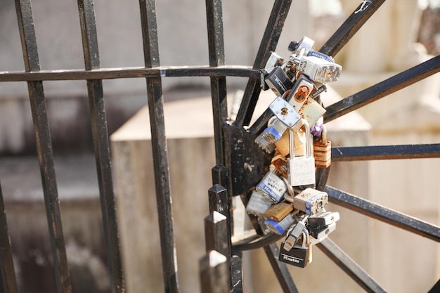 A lock on a gate that has a lock on it.