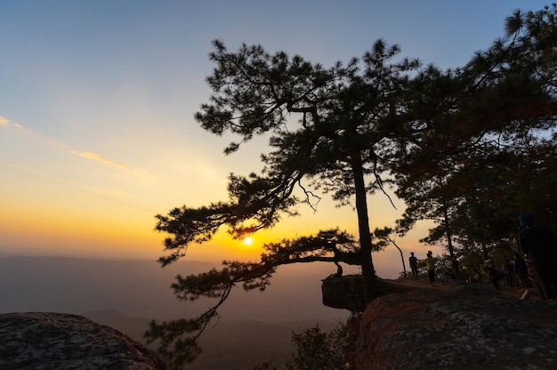 LOEI THAILAND 2021年12月25日観光客がLomSak Cliff Pha Lom Sakを訪れ、有名な旅行先であるPhuKradueng山国立公園に夕日が沈む