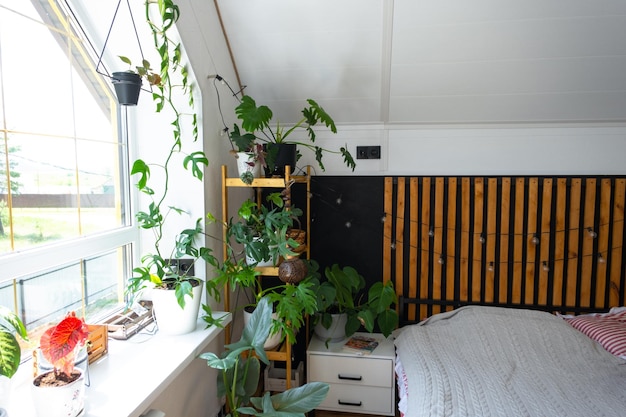 Loft stijl slaapkamer interieur zwarte muur met houten lamellen metaal bed retro gloeilampen krans potplanten op een trapeziumvormig raam op de zolder Moderne groen huis