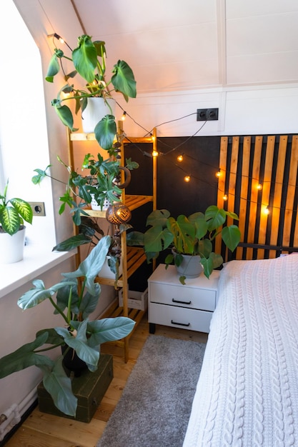 로프트 스타일 침실 인테리어 검은 벽과 나무 슬래드 금속 침대 레트로 전구 장신구 트라페조 모양의 창문에 있는 비 비 식물