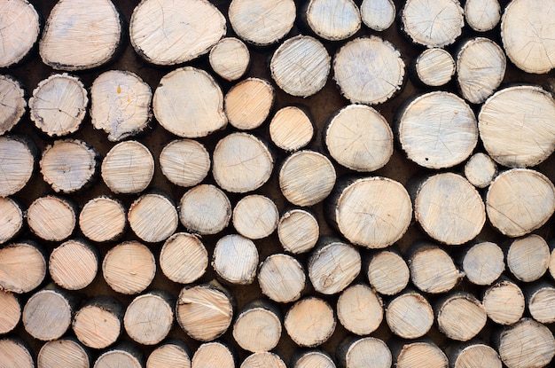 Log background texture