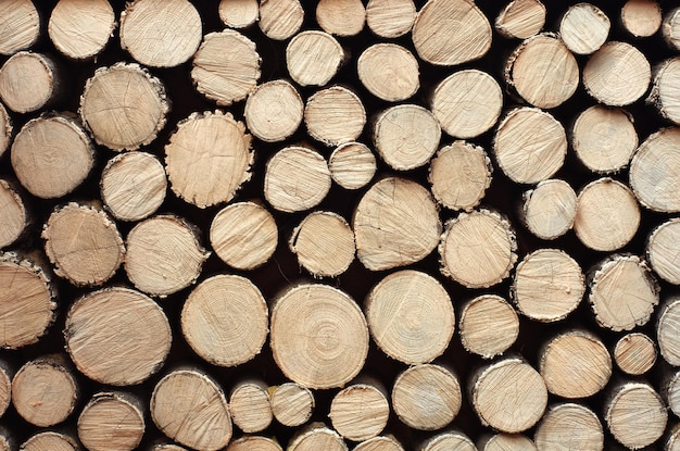 Log background texture