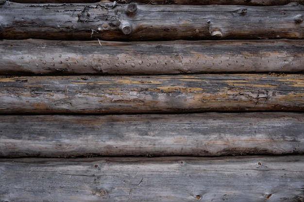 log background the wall from the wooden logs