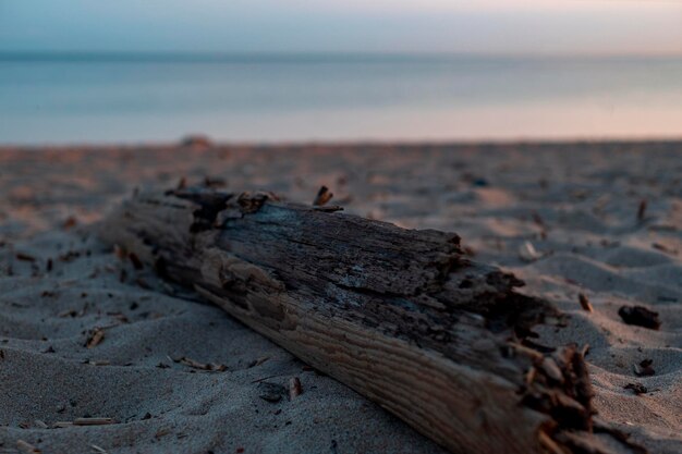 A log on the beach with the sun setting behind it