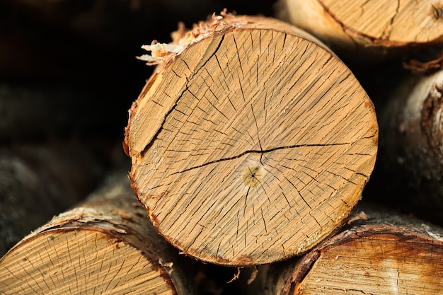 The log birches lie in a heap. slice of the tree trunk. High quality photo