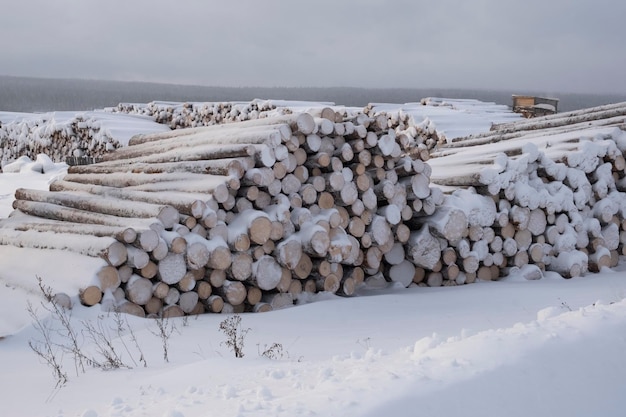 La raccolta dei tronchi è in pieno svolgimento. struttura invernale in legno. sfondo legnoso.