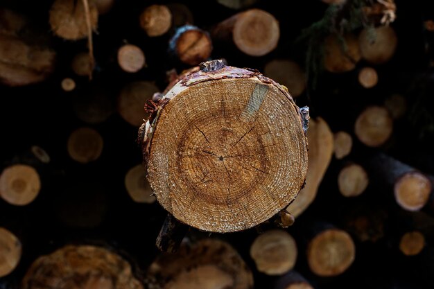 Log house logs close up the sawmill