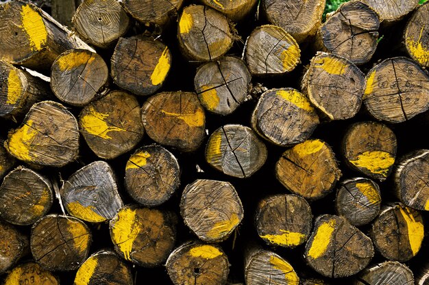 Log piles of color with background.