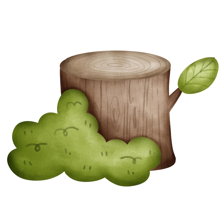 Photo a log stump with leaf