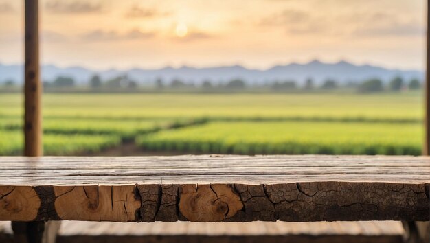 Foto tavolo di tronchi con uno sfondo sfocato di campi di riso