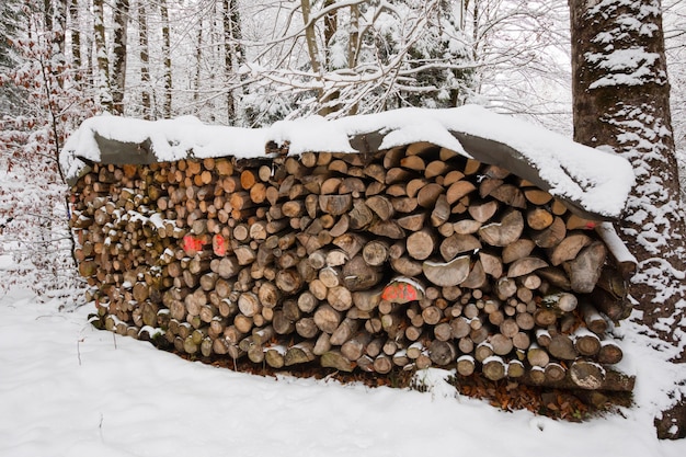 Log For use as fuel in winter of Europe