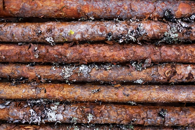 A log wall of a barn or a building