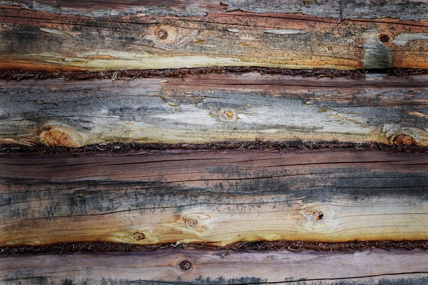 Photo log wall caulked with moss wooden background natural light