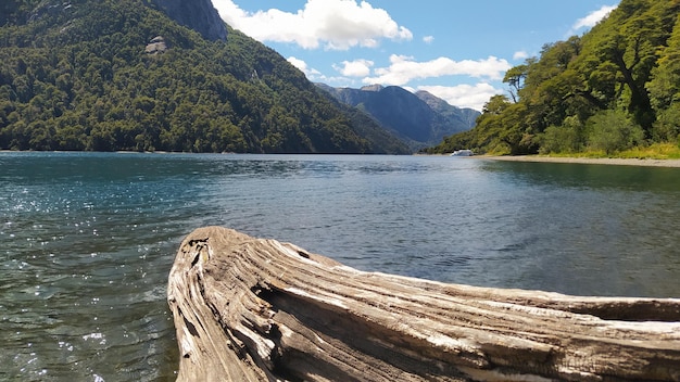 Foto un tronco in acqua con le montagne sullo sfondo