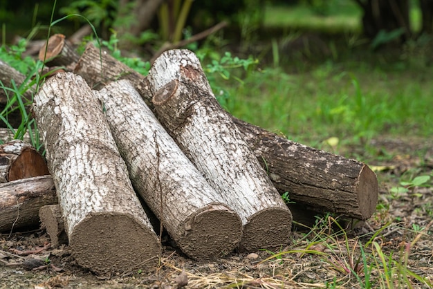 Log with a pile of chopped wood use in fire place at home stored on forest woods green biomass energy in the forest