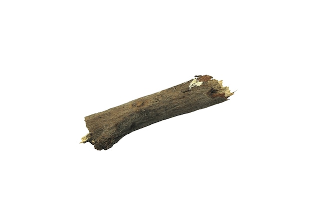 Log wood isolate on white background