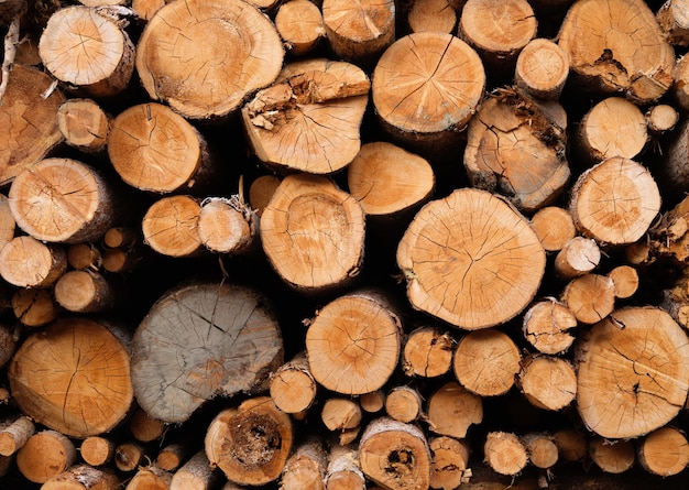 Logboeken als achtergrond Textuur van natuurlijk hout Foto met grote resolutie voor het ontwerp