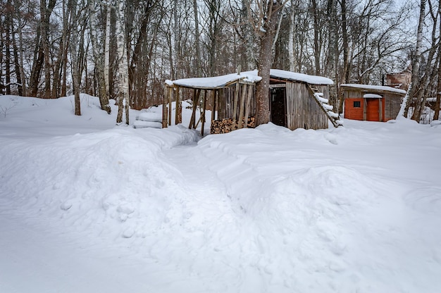 Logboeken van brandhout in een houten opslagloods in de winter. Landelijke scène.