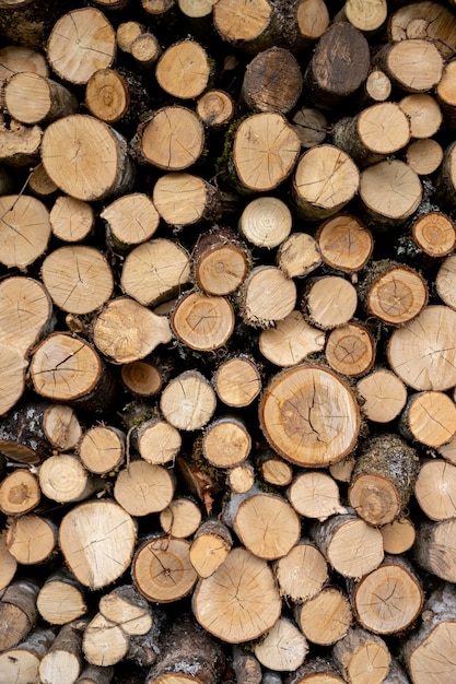 Legno tagliato nella foresta ottimo per argomenti come il legno forestale come combustibile ecc