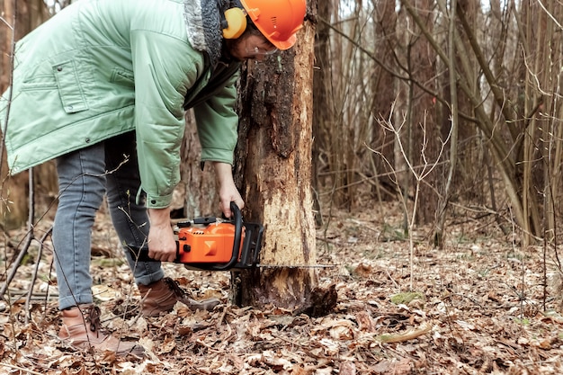 Photo logging, worker in a protective suit with a chainsaw sawing wood