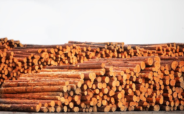 Logs are stacked in a pile for furniture production Woodworking