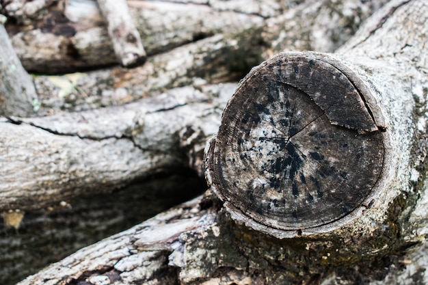 Logs, lumber, stuk hout