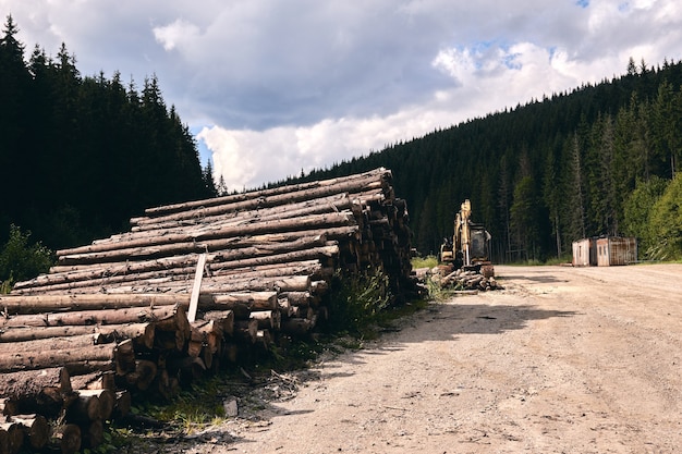 Logs in a sawmill yard. Stacks of woodpile firewood texture background. Tree trunks cut and stacked in the bush. Timber logging.