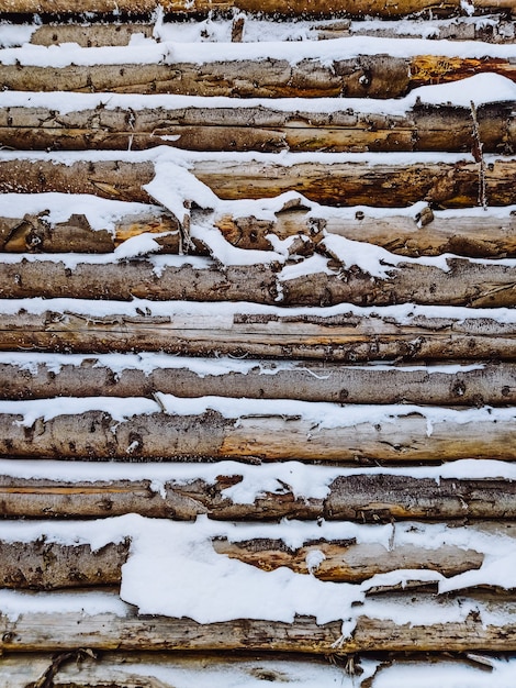 Logs in snow close up wallpaper