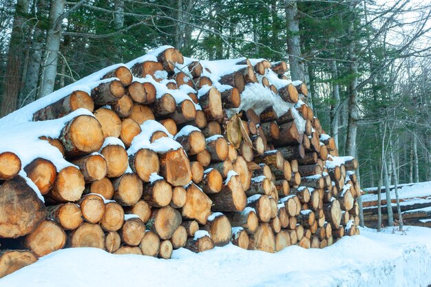 Logs of wood cut and stacked in the mountains under the snow