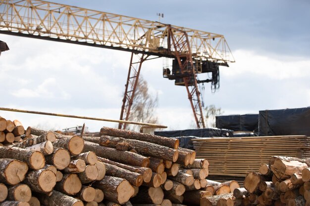 Logs in a wood processing plantWoodworking industry