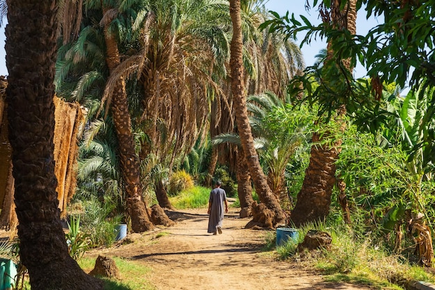 Lokale Afrikaanse man in de jungle van de Nijl