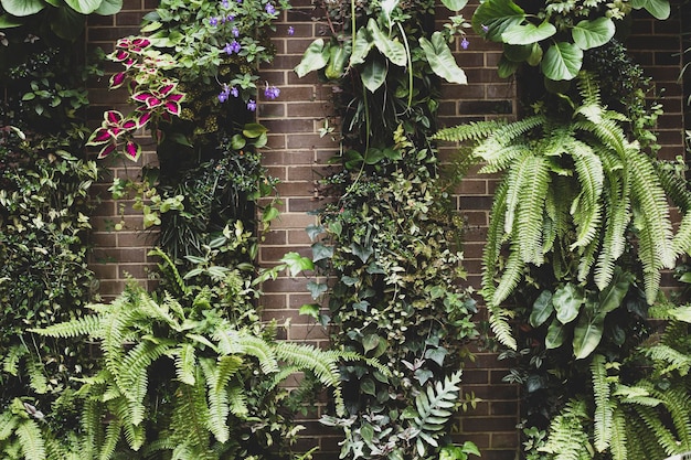 Lommerrijke verticale tuin natuurlijke hoek