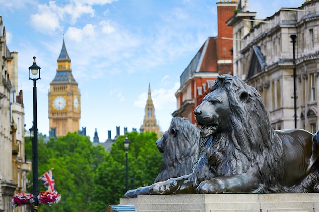 영국의 런던 트라팔가 광장 사자