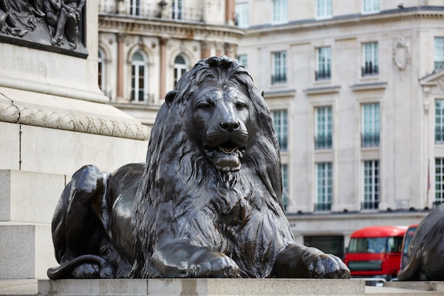 London Trafalgar Square lion in UK