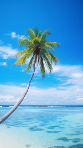 スマートフォン用のLone Palm Tree on Tropical Beachの壁紙