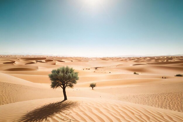 A lone tree in the middle of a desert