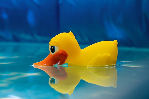 A lone yellow duck in an inflatable poo