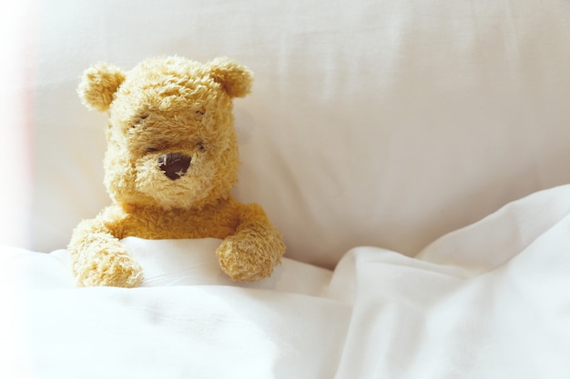 Photo lonely bear is alone in bedroom.