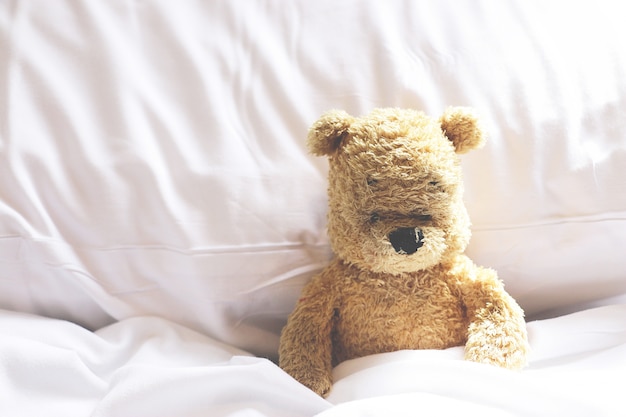 Lonely bear is alone in bedroom.