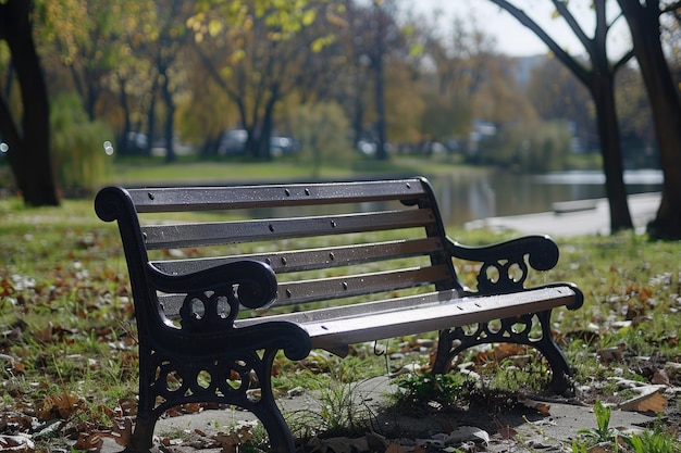 Одинокая скамейка в городском парке