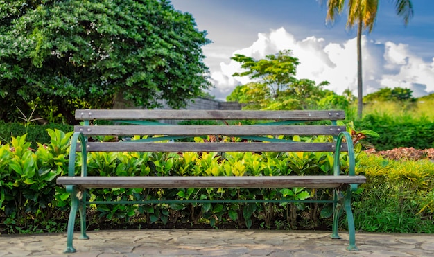 A lonely bench in a park wooden bench in a park with blue sky wooden bench in a garden