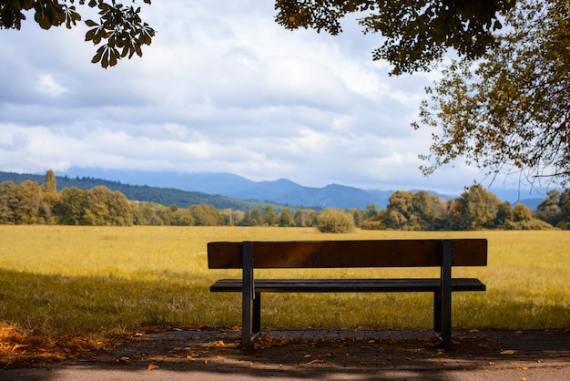 Lonely bench underneath the tree with picturesque view